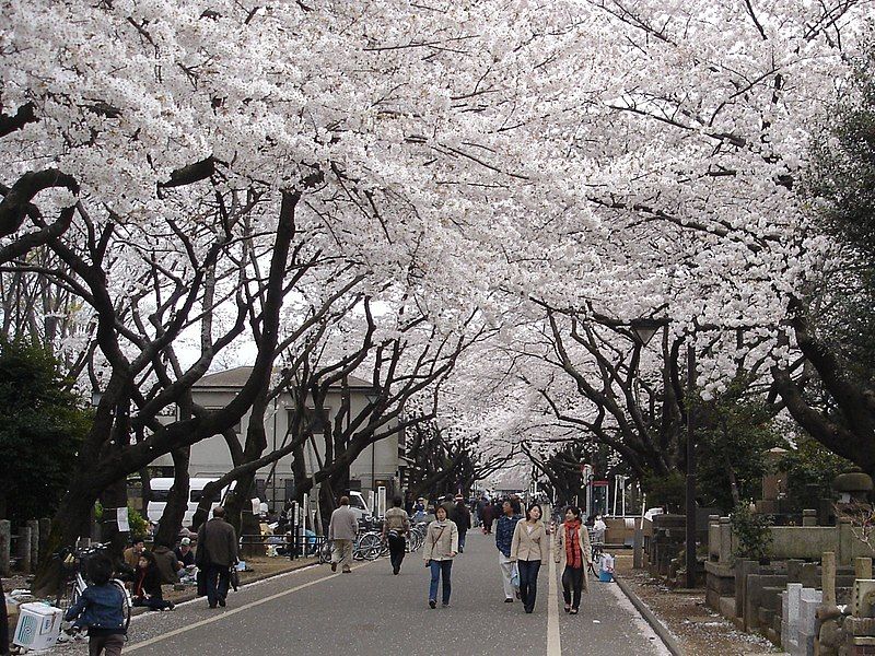 File:Yanaka cemetery.jpg