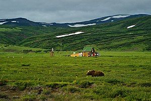 Kamchatka-Kurile meadows and sparse forests