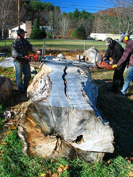 File:Alaskan chainsaw mill.jpg