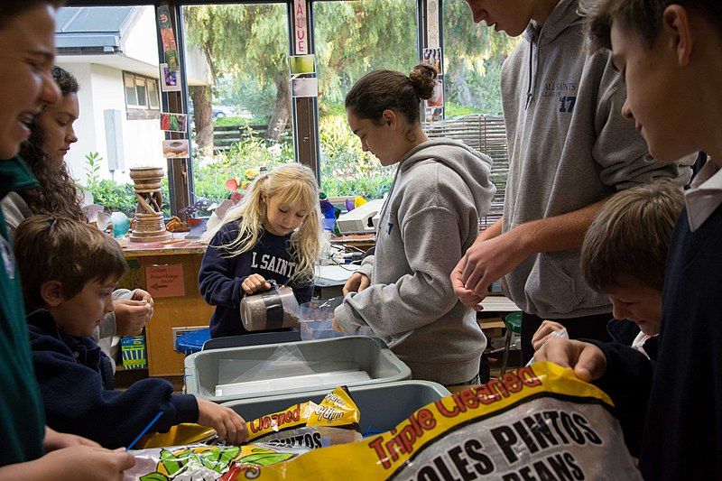 File:Bean Bagging 2016.jpg