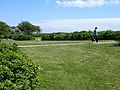 Grassy areas in the park