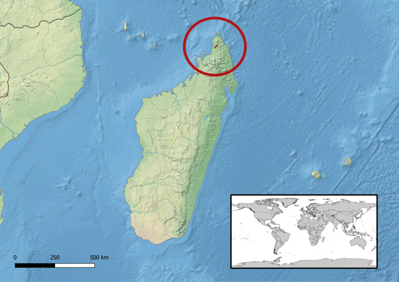 File:Brookesia confidens distribution.png