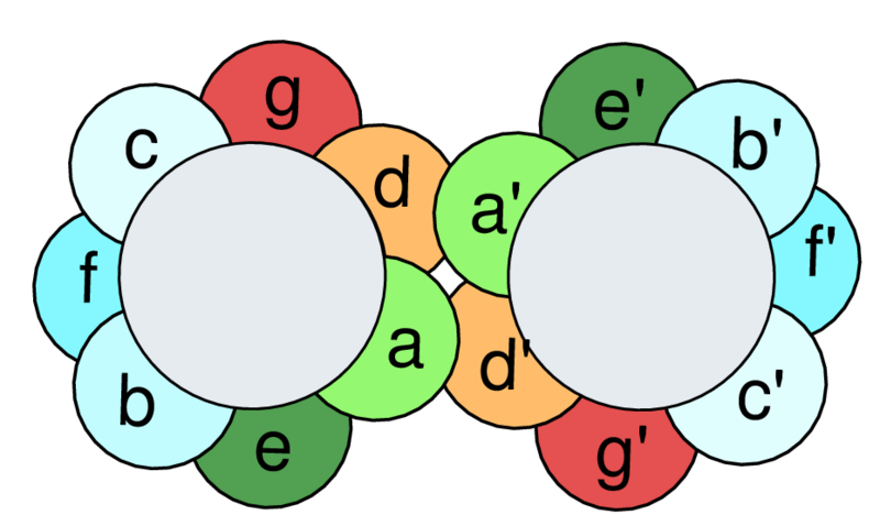 File:Coiledcoil-wheelcartoon.png