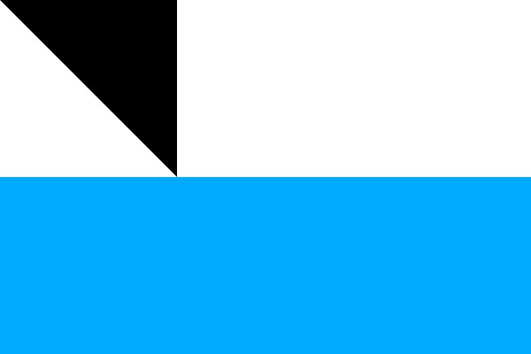 File:Flag of Ricany.svg