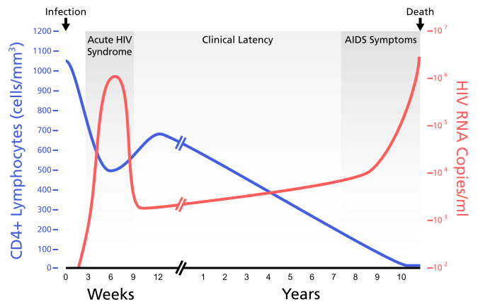 File:HIV-timecourse simple.svg