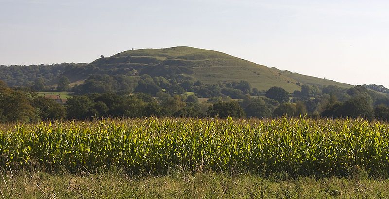 File:Hambledon Hill 20080926.jpg