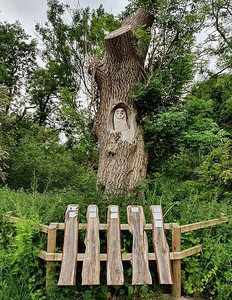 File:Leighton Moss Woodcarving.jpg