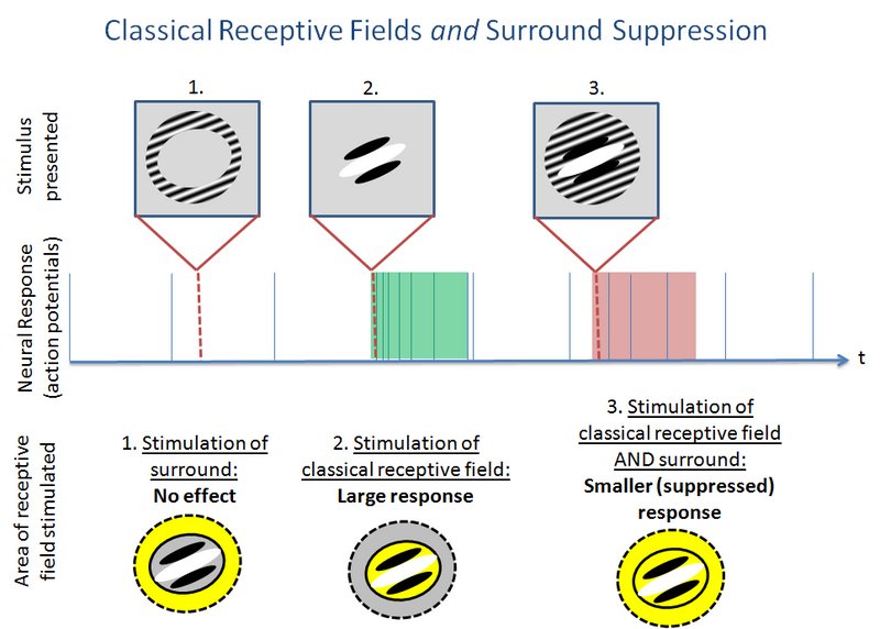 File:NCRF redone.png