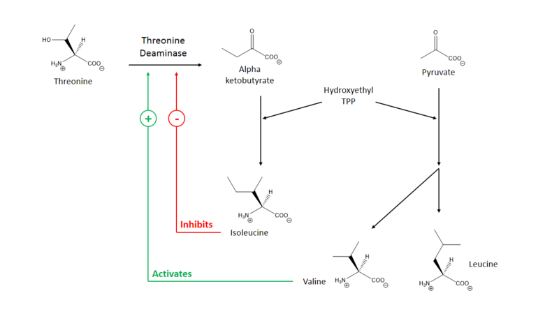 File:Regulation of TD.png