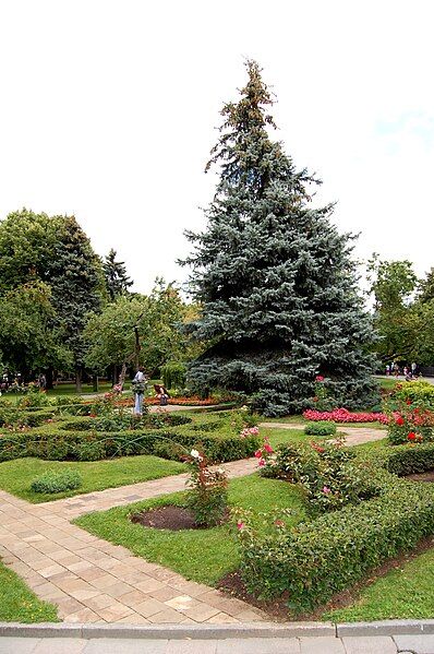 File:Taynitsky Garden-7.jpg