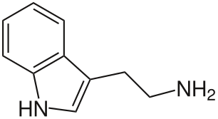 File:Tryptamine.svg