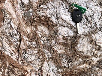 Weathered face of gypsum in the Seven Rivers Formation, Bottomless Lakes State Park, NM. Note the dark, irregular reprecipitated gypsum