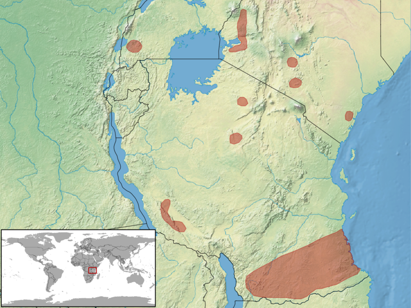 File:Acanthocercus cyanogaster distribution.png