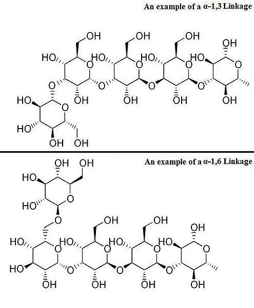 File:Aglucan.jpg