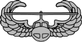 Air Assault Badge