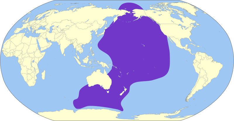 File:Ardenna tenuirostris map.svg