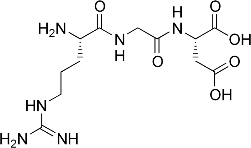 File:Arginylglycylaspartic acid.png