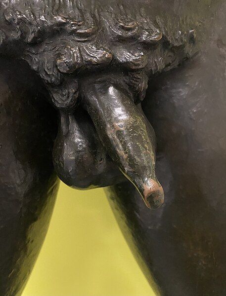 File:Artemision-penis.jpg