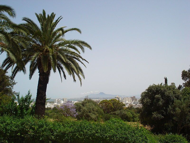 File:Belvédère - Tunis.jpg