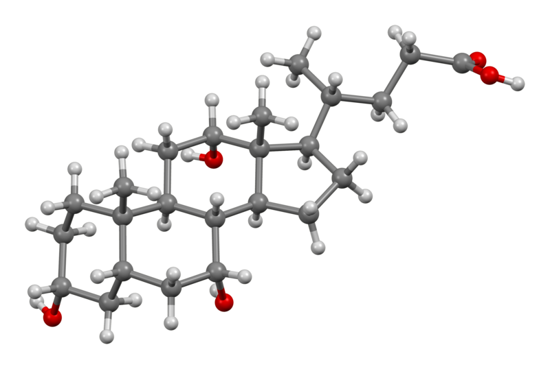 File:Cholic-acid-from-xtal-view-1-3D-bs-17.png