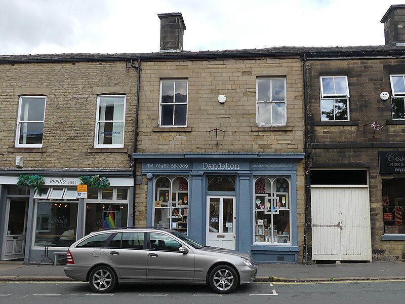 File:Dandelion, Glossop.jpg