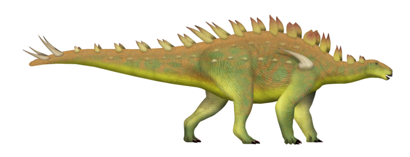 File:Huayangosaurus UDL.png