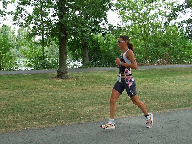 File:Ironman-2008-ffm-wellington001.jpg