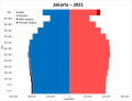 Image 47Jakarta population pyramid in 2021 (from Jakarta)