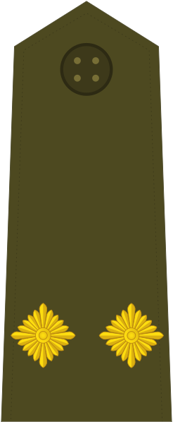 File:KoS-Army-Infantry-Junior Sergeant.svg