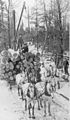 Image 44Logs being transported on a sleigh after being cut (from History of Wisconsin)