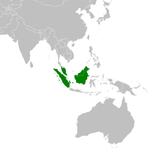 File:Mangifera applanata Distribution.svg