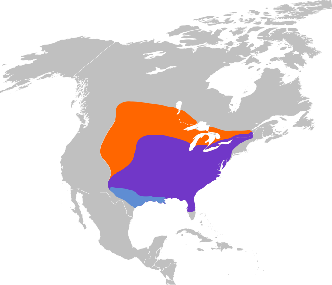 File:Melanerpes erythrocephalus map.svg