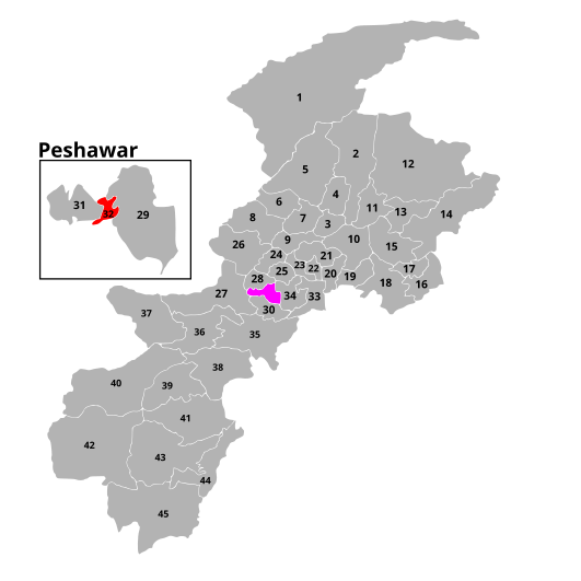 File:NA-32 Peshawar-V (2024).svg