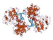 1jst: PHOSPHORYLATED CYCLIN-DEPENDENT KINASE-2 BOUND TO CYCLIN A