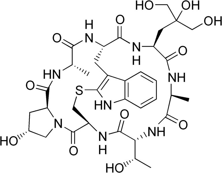 File:Phallisin.png