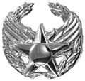 Commander's Insignia