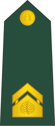 File:05-Slovenian Army-SSG.svg