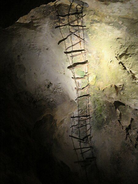 File:Carlsbad Caverns Ladder.jpg