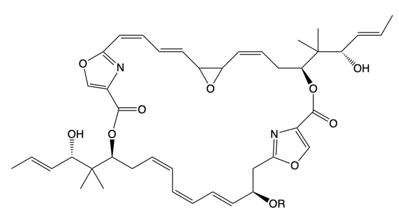 File:Disorazole.png