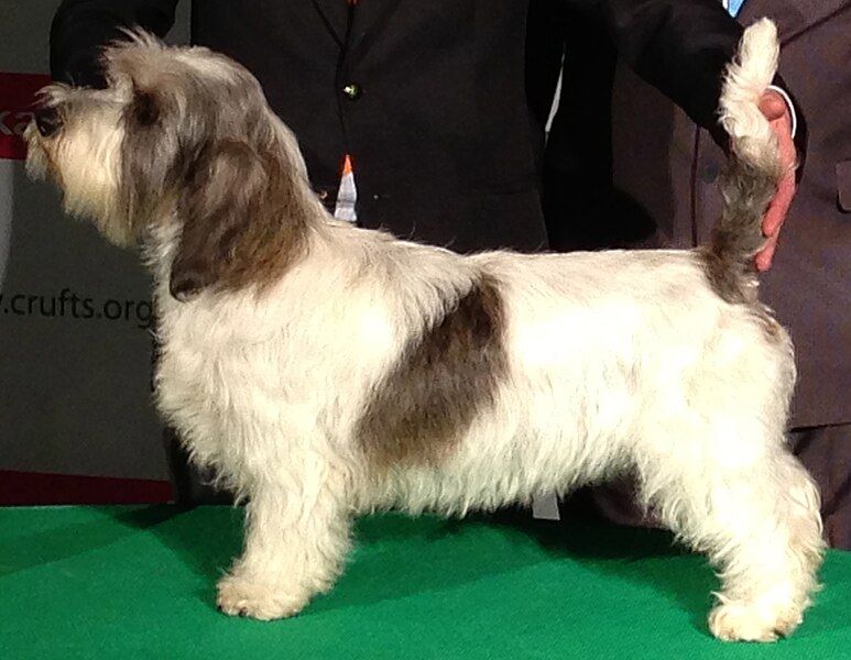 File:JillyCrufts-cropped2.JPG