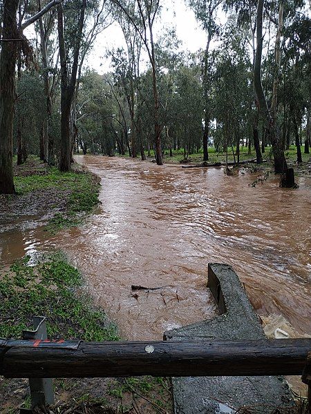 File:Kofer Stream Flooded.jpg