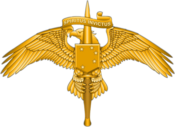 MARSOC Insignia