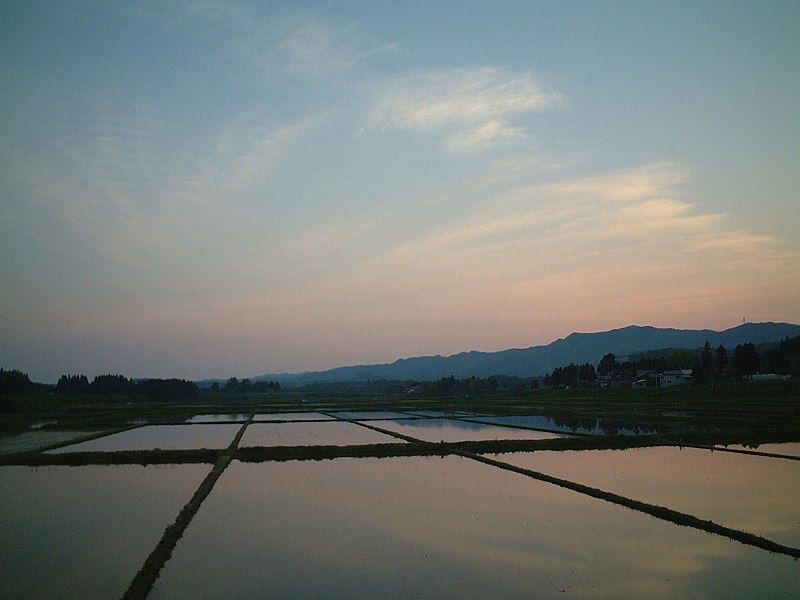 File:Paddy fields Akita.jpg