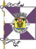 Flag of Oliveira do Hospital