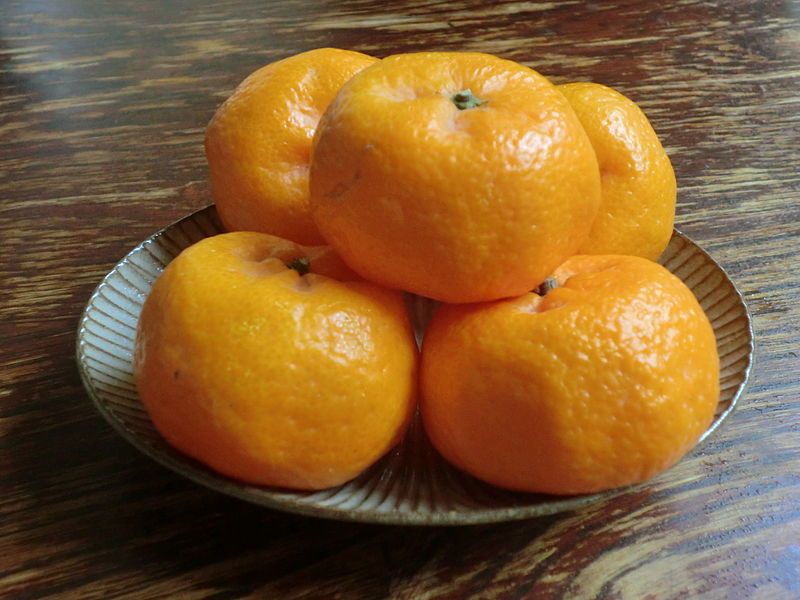 File:Sakurajima Mikan.JPG