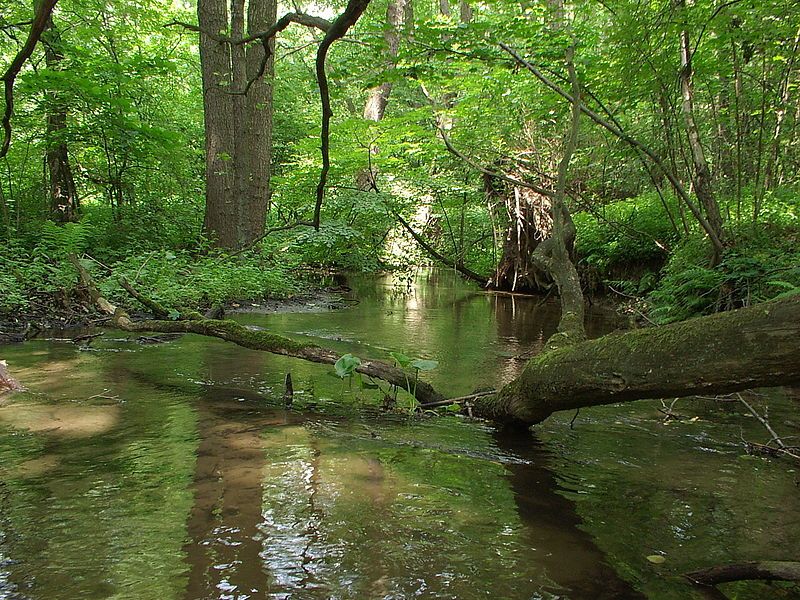 File:StrugaDobieszkowska.JPG