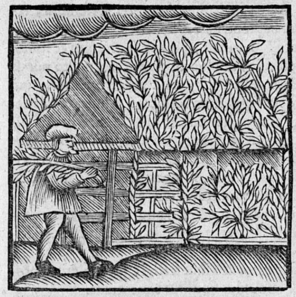 File:Sukkot woodcut.png