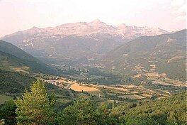 A valley surrounded by trees with mountains in the background.