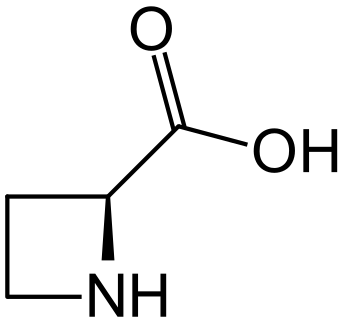 File:(S)-(-)-2-Azetidinecarboxylic acid.svg