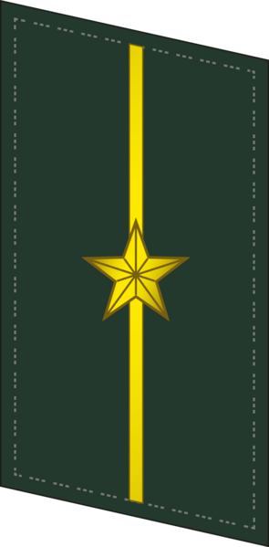 File:CAPF-Collar-0711-2LT.png